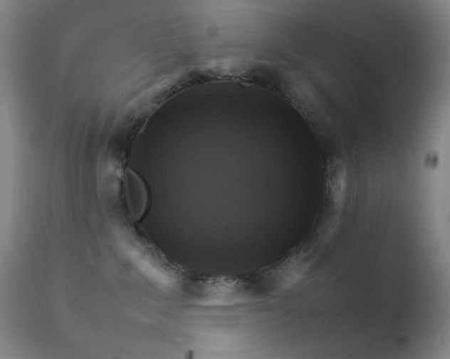 X0000111900235200907271206