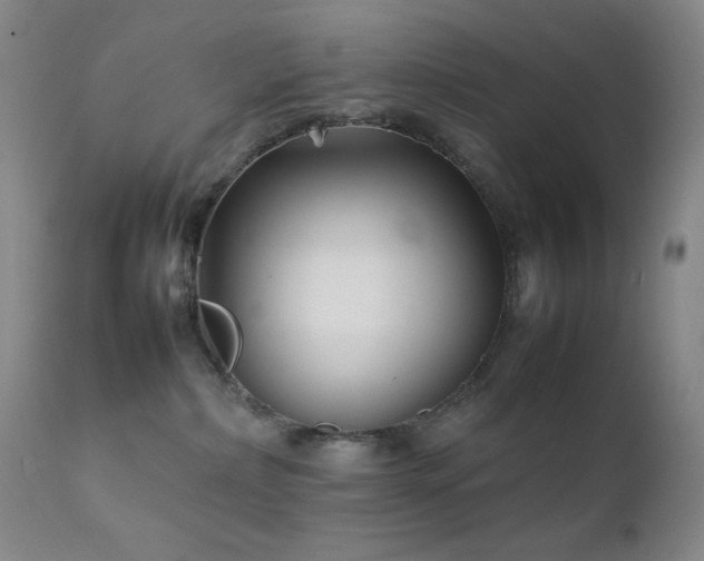 X0000111900236200907271206