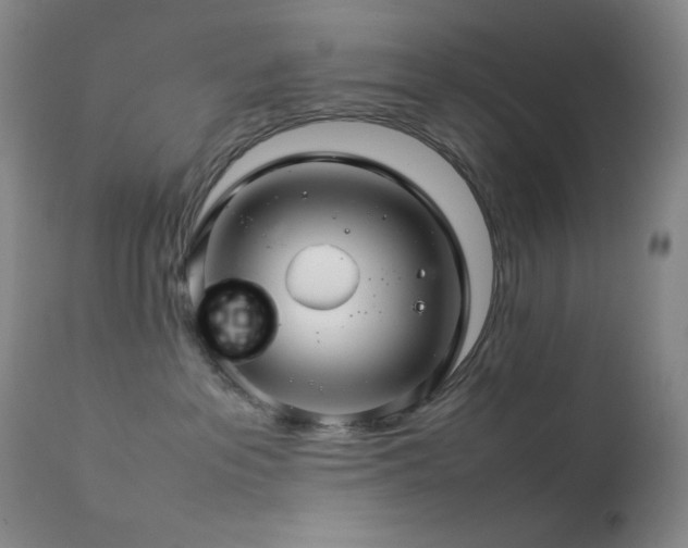 X0000111900237200907271205