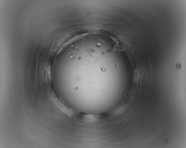 X0000111900238200907271205