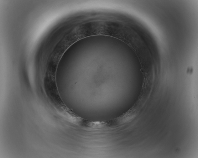 X0000111900239200907271205