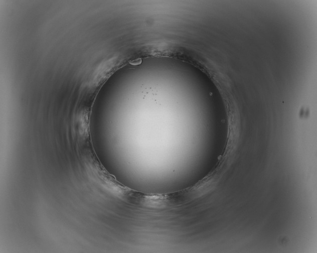 X0000111900240200907271205