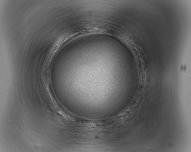 X0000111900241200907271205