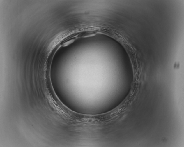 X0000111900242200907271205