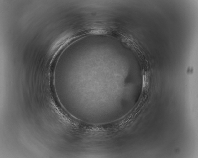 X0000111900243200907271205