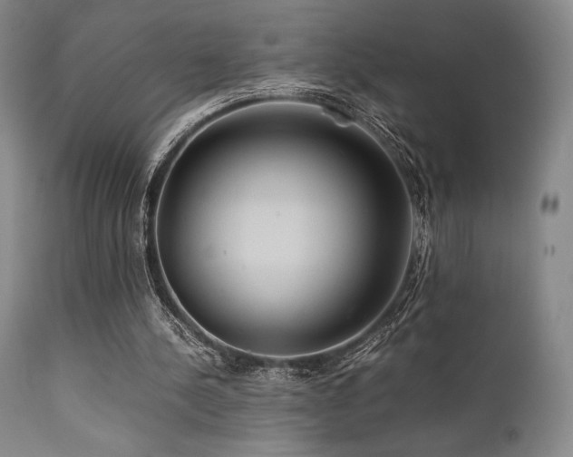 X0000111900244200907271205