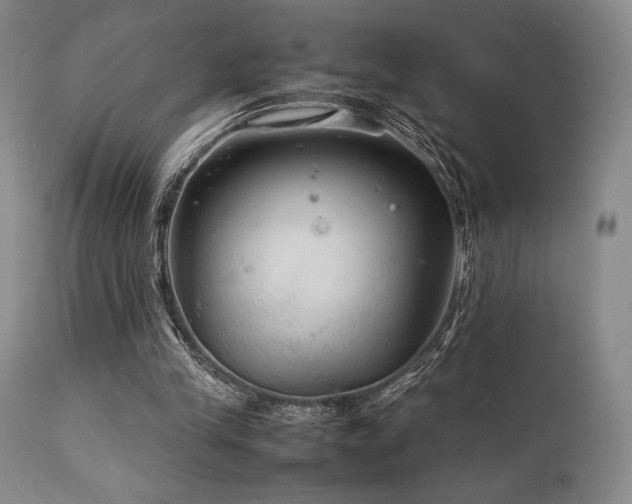 X0000111900245200907271205