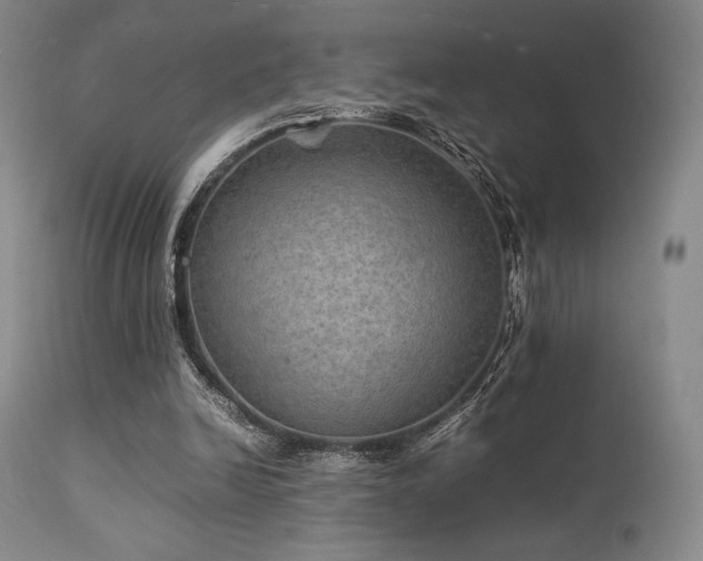 X0000111900246200907271205