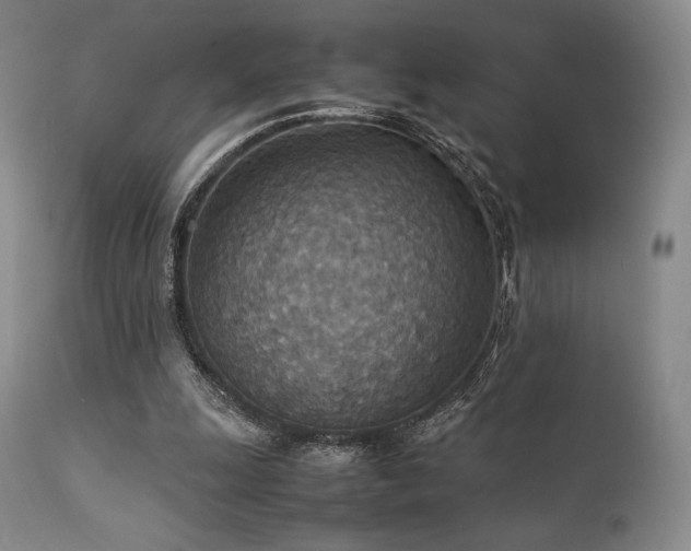 X0000111900247200907271205