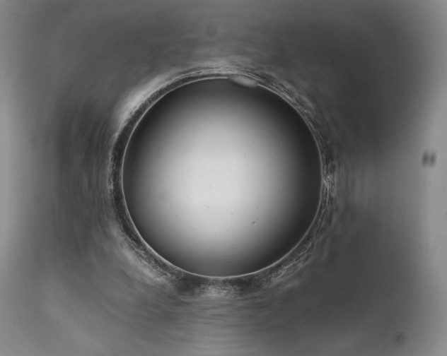 X0000111900248200907271205