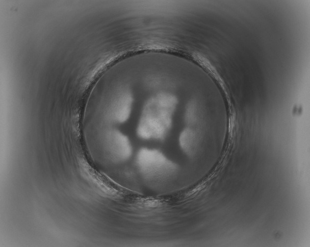 X0000111900249200907271205