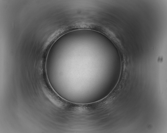 X0000111900250200907271205