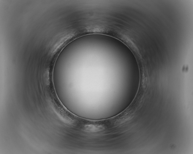 X0000111900251200907271205