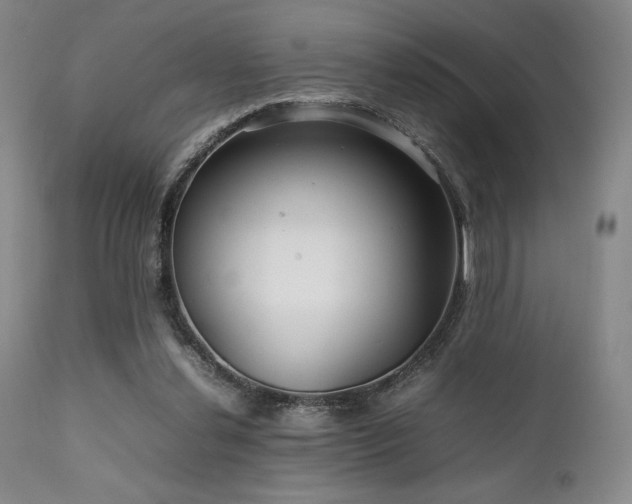 X0000111900252200907271205