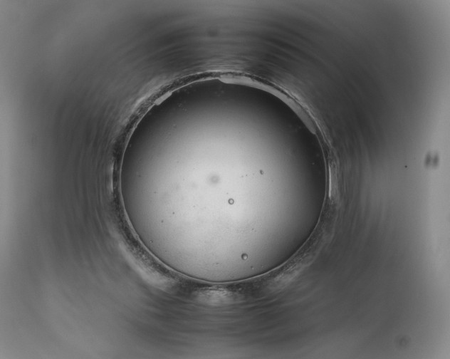 X0000111900253200907271205