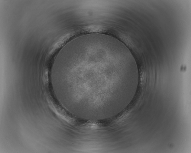 X0000111900254200907271205