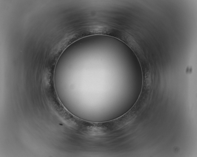 X0000111900255200907271205