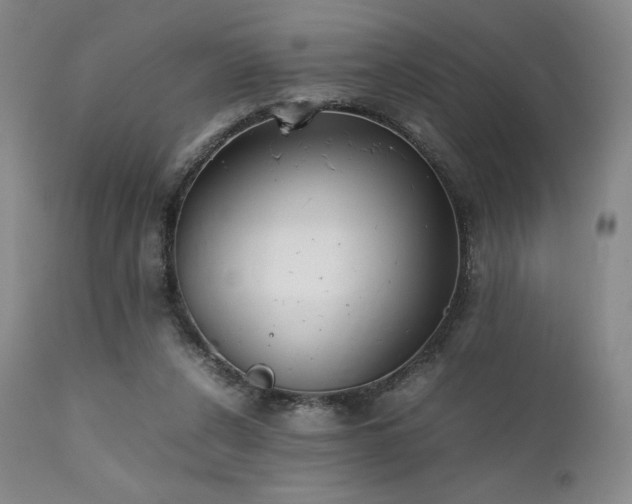 X0000111900256200907271205