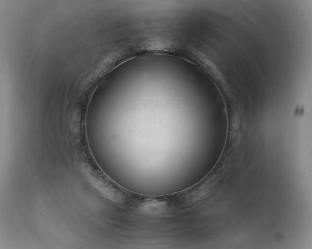 X0000111900257200907271205