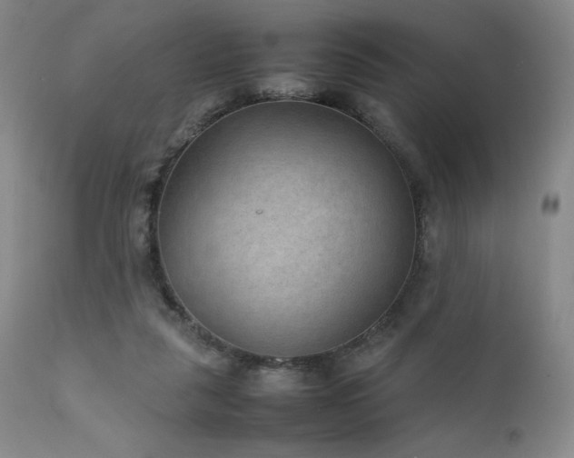 X0000111900259200907271205