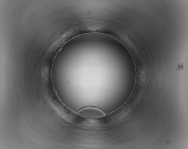 X0000111900260200907271205