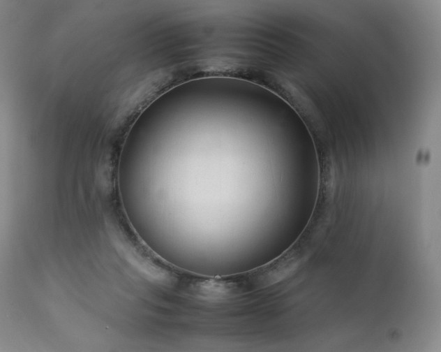 X0000111900261200907271205