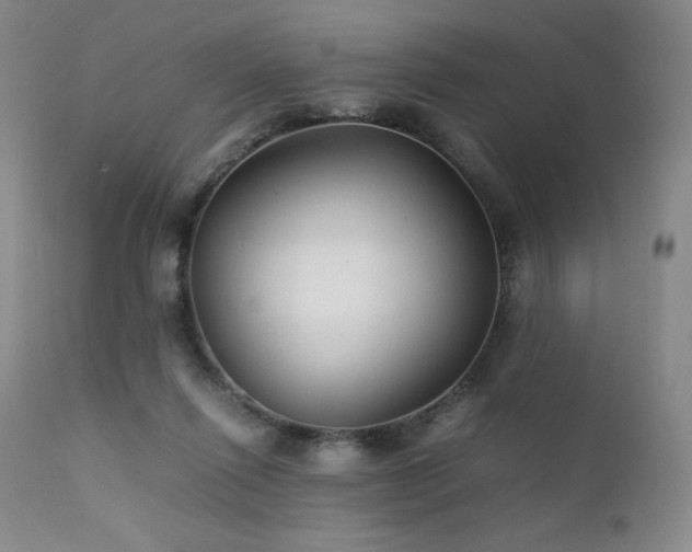 X0000111900262200907271205