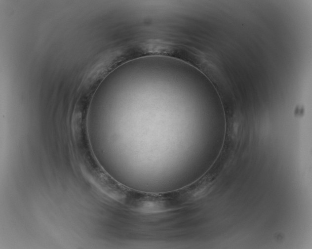 X0000111900263200907271205