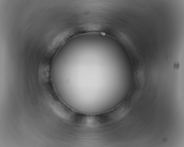 X0000111900264200907271205