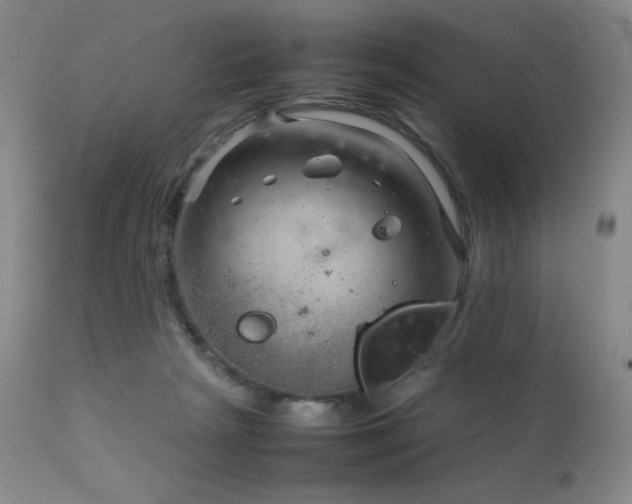 X0000111900265200907271205