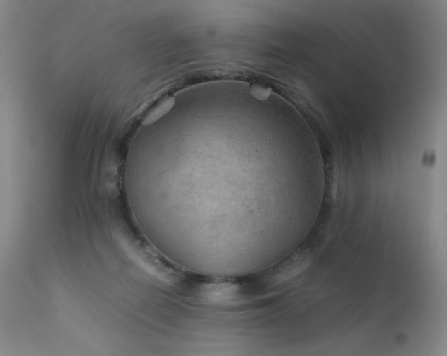 X0000111900266200907271205