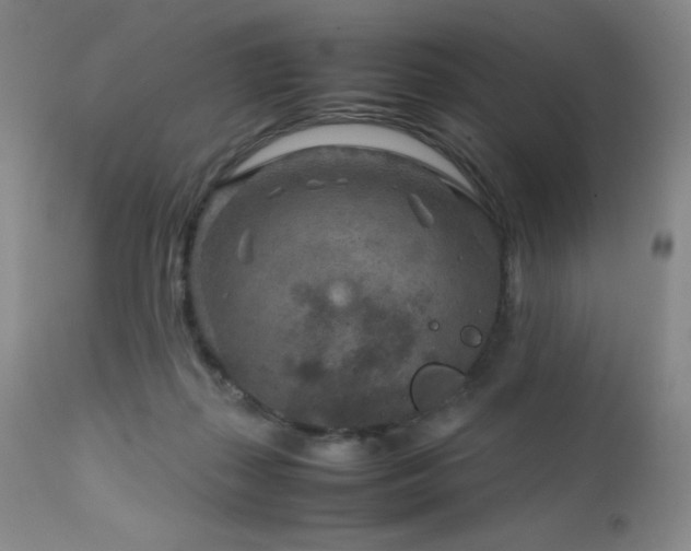 X0000111900267200907271205