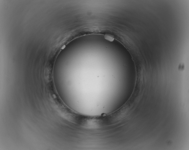 X0000111900268200907271205