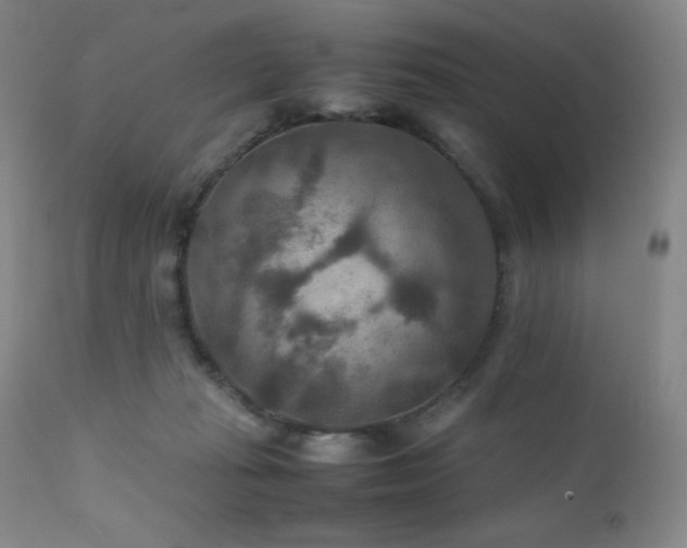 X0000111900269200907271205