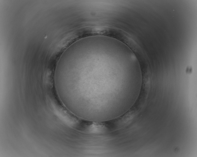 X0000111900270200907271205