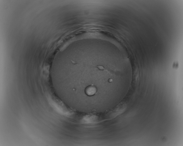 X0000111900271200907271205