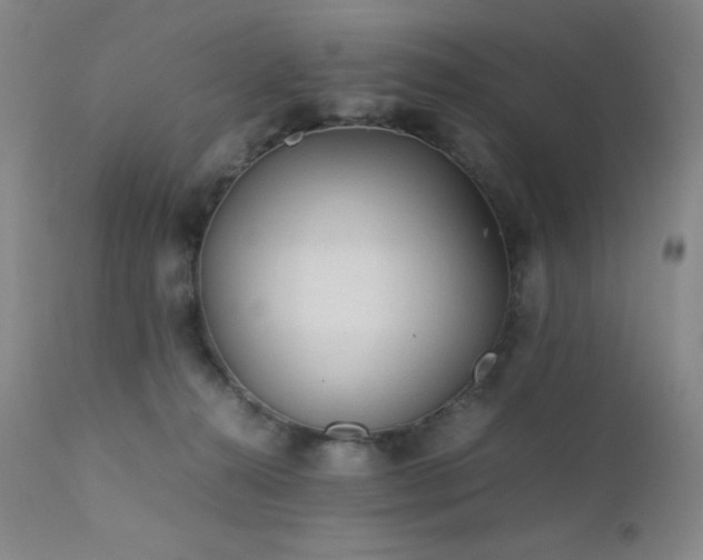 X0000111900272200907271205