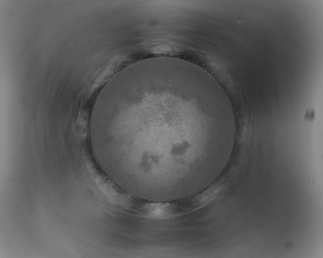 X0000111900273200907271205