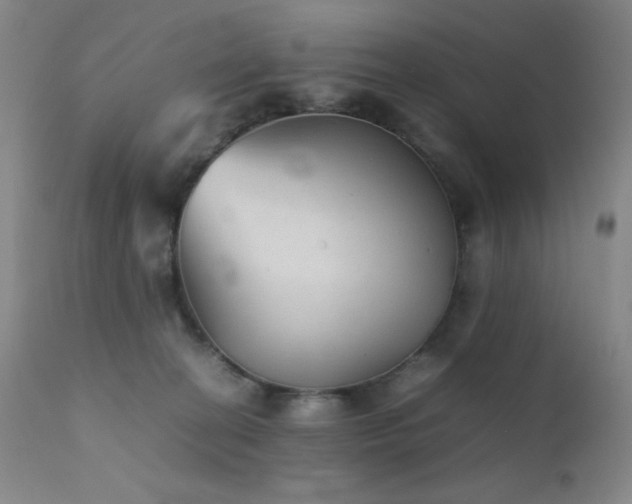 X0000111900274200907271205