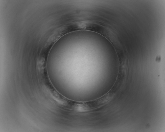 X0000111900275200907271205