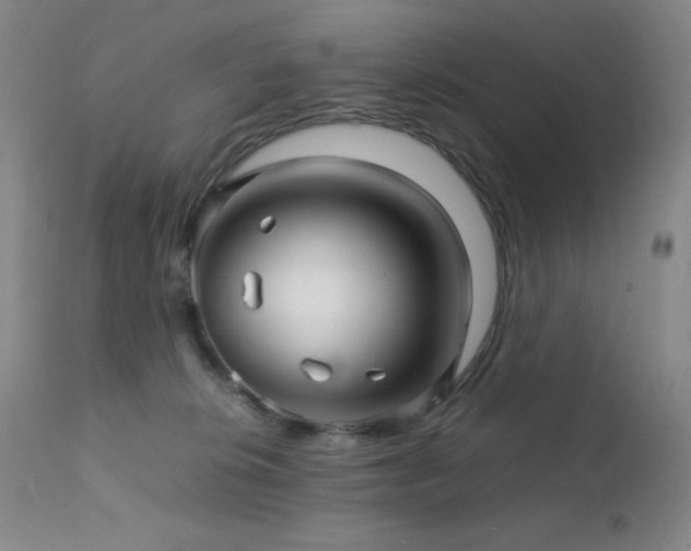 X0000111900276200907271205