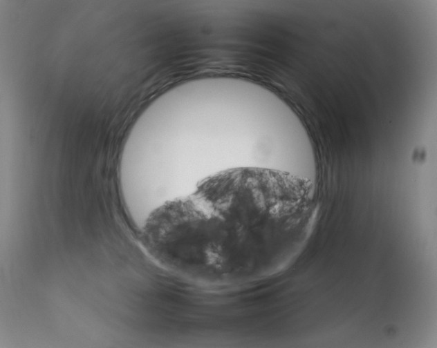 X0000111900277200907271205