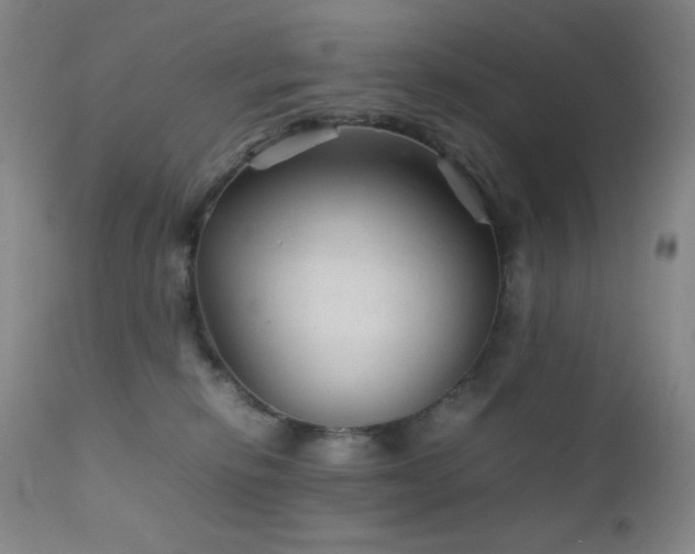 X0000111900278200907271205