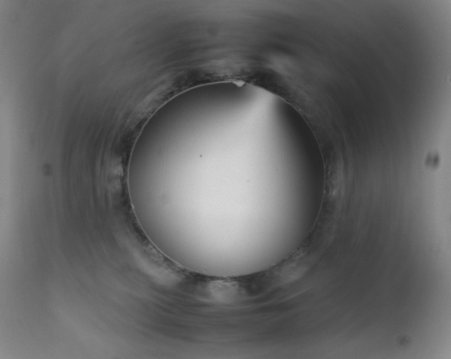 X0000111900279200907271205