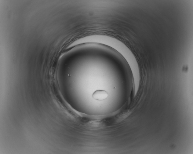 X0000111900280200907271205