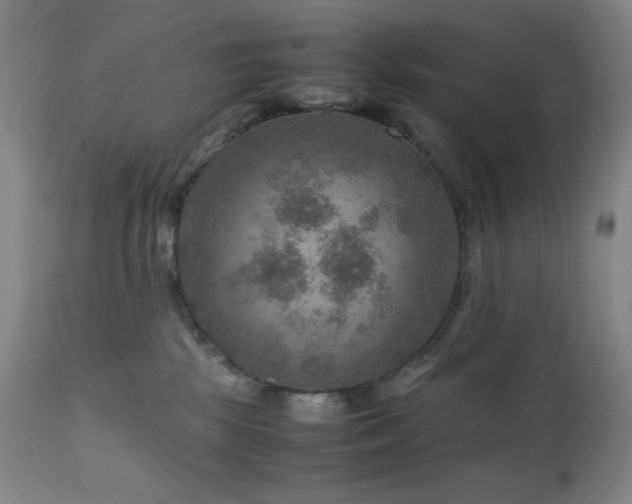 X0000111900281200907271205