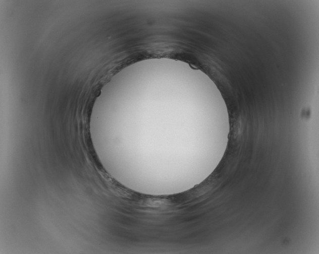 X0000111900283200907271205