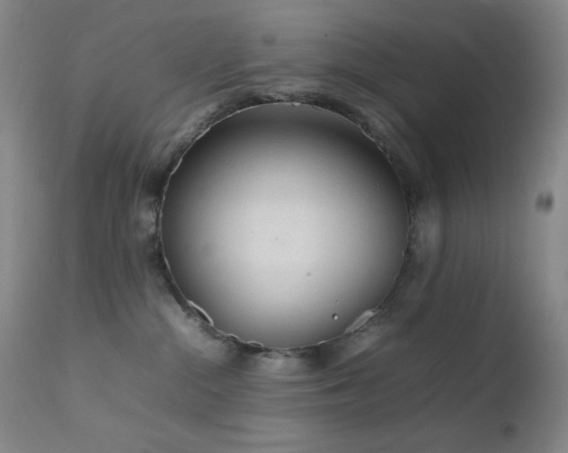 X0000111900284200907271205