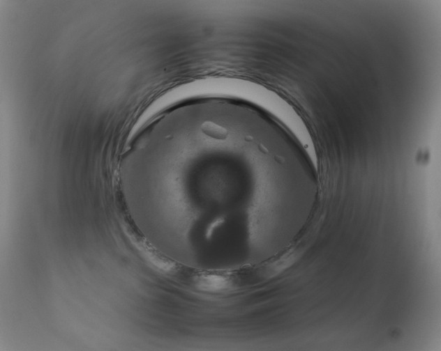 X0000111900285200907271205