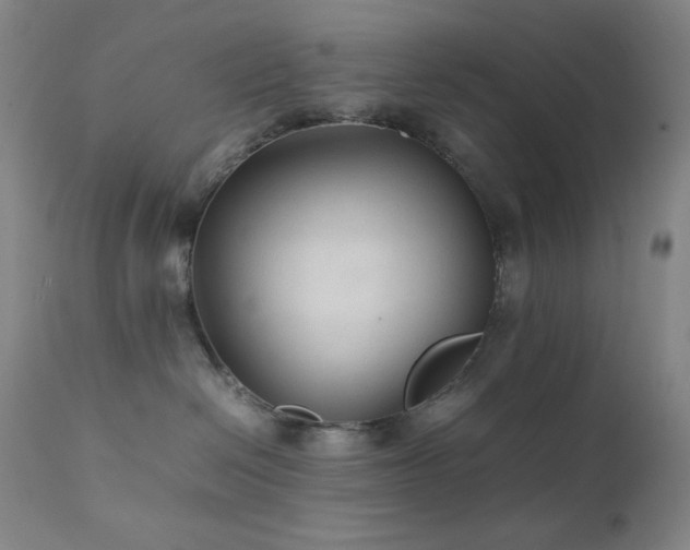 X0000111900286200907271205